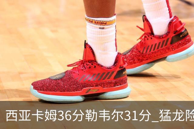 西亚卡姆36分勒韦尔31分 猛龙险胜送骑士2连败